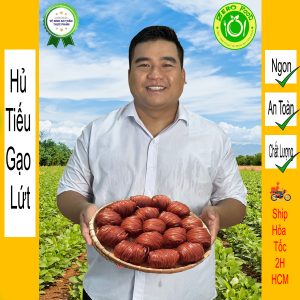 hủ tiếu gạo lứt 01